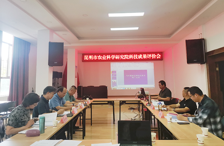 马铃薯新品种的选育及推广应用 anli.jpg